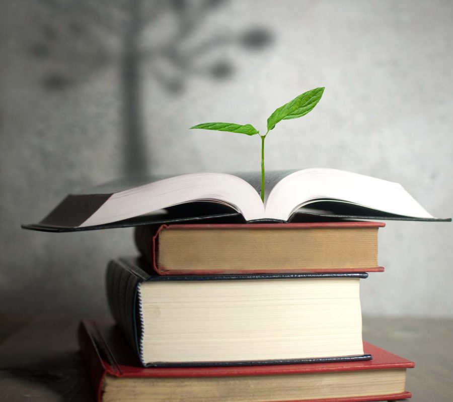 Open book with a new growing plant and the shadow of a tree